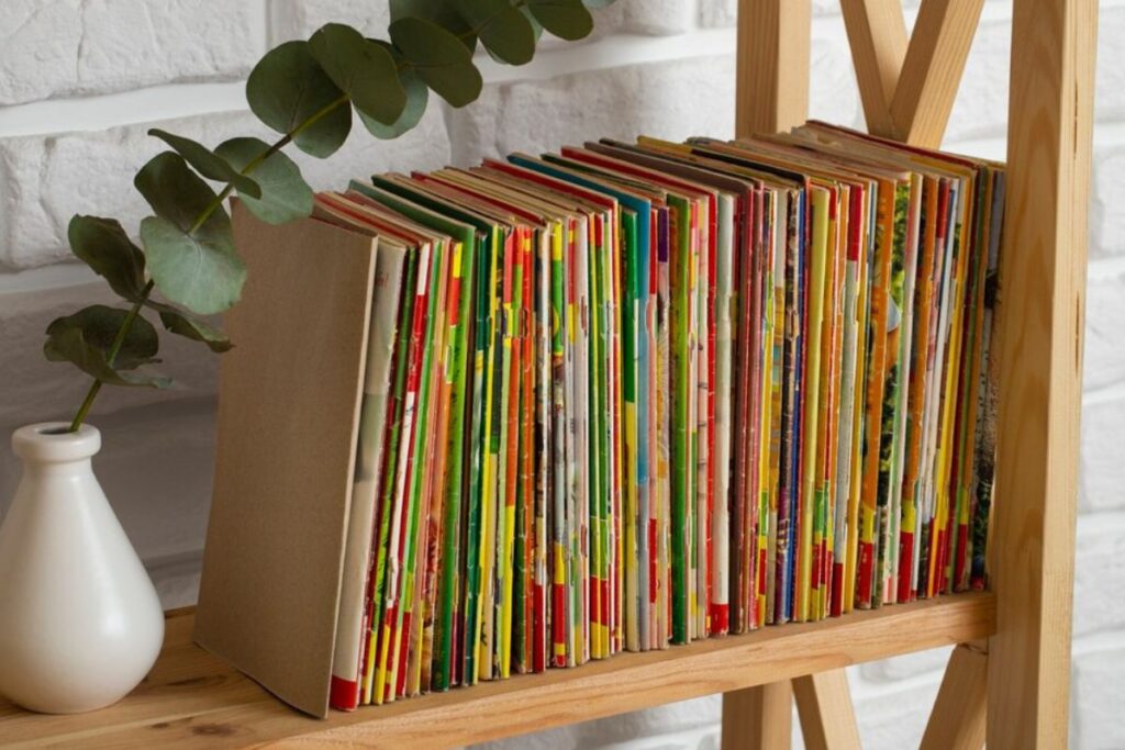 omo organizar a sua coleção de livros de forma prática e funcional