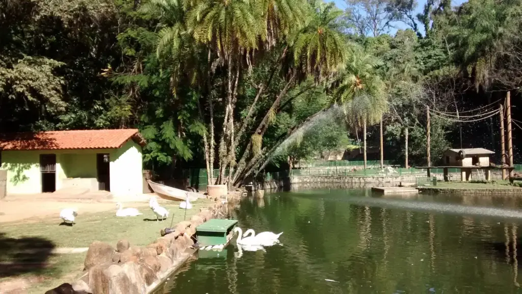 Bosque dos Jequitibás em Campinas: como combinar parque e museus