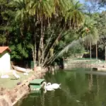 Bosque dos Jequitibás em Campinas: como combinar parque e museus